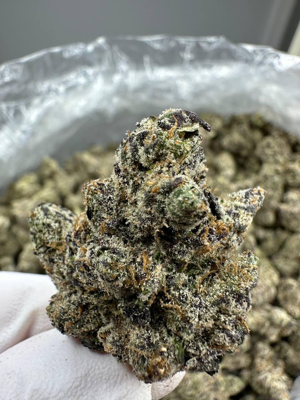 Dante's Inferno - Boutique Flower
